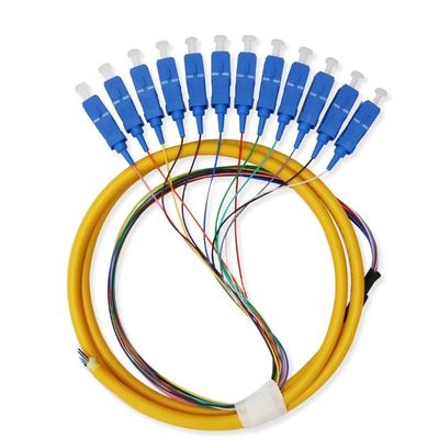 Beli 12 Core Single Mode SC Fiber Pigtail Cable for Networks Communication System Flexible pembuatan online