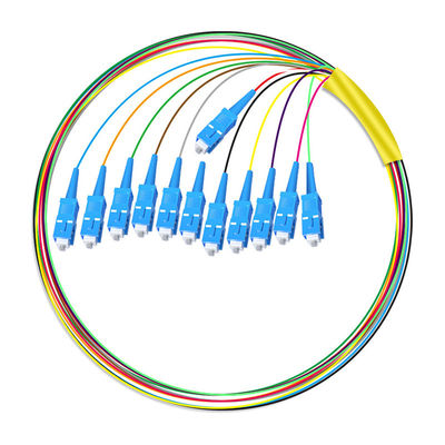Beli HXCOWO 12 Core SC Bundle Tail Single Mode Telecom Grade Head And Tail Fiber Optic Pigtail pembuatan online